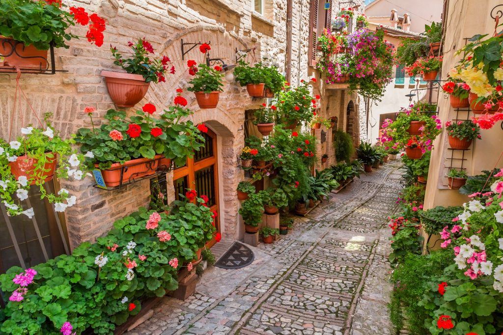 Se apaixone por Spello, uma das cidades mais floridas da Itália