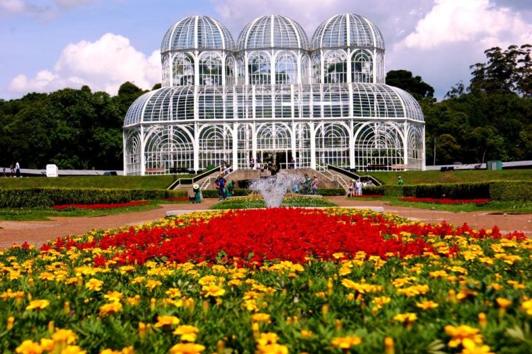 Campos de flores cultivados no Paraná encantam turistas