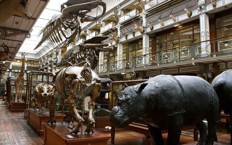 Museus em Dublin