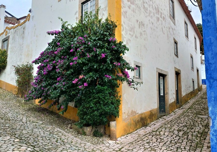 fotos de óbidos