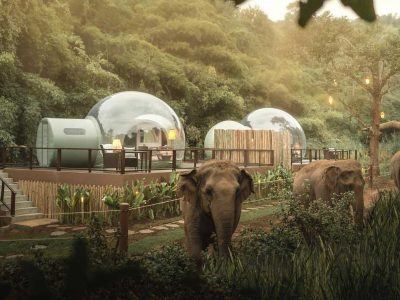 Hotel elefante Tailândia