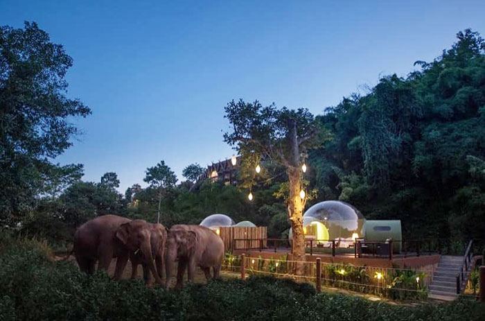 Hotel na Tailândia elefantes