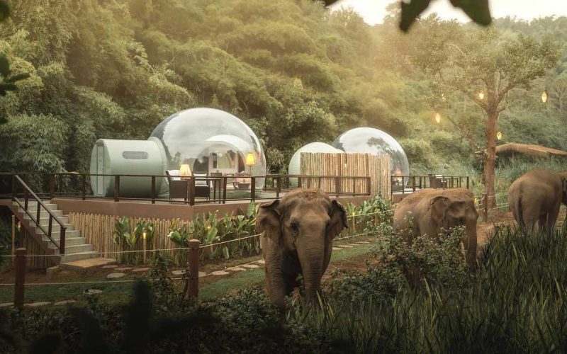 Hotel elefante Tailândia