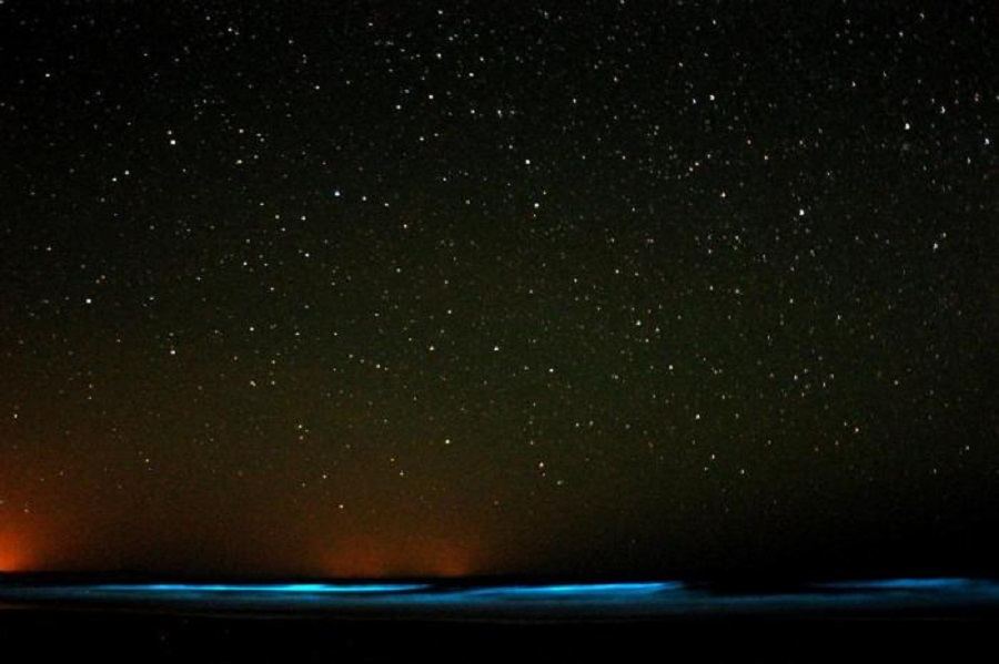 bioluminescência
