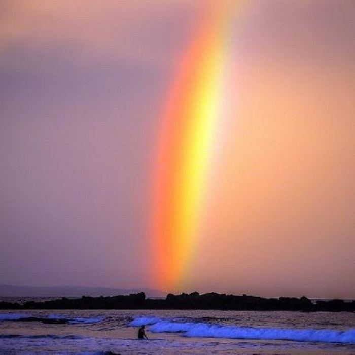 arco-íris bicolor austrália