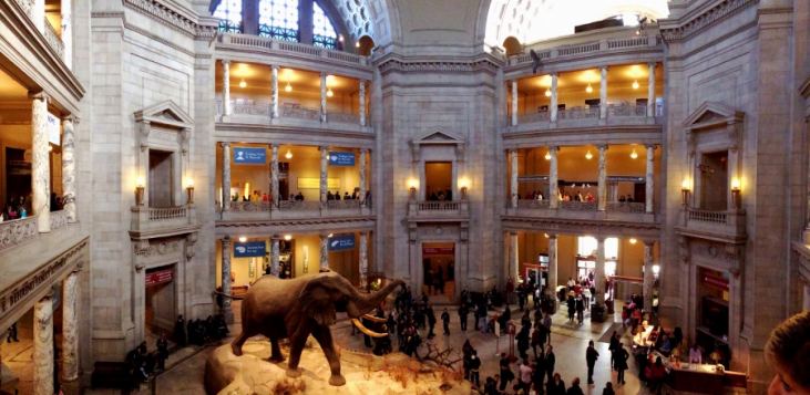 tour virtual museu de nova york