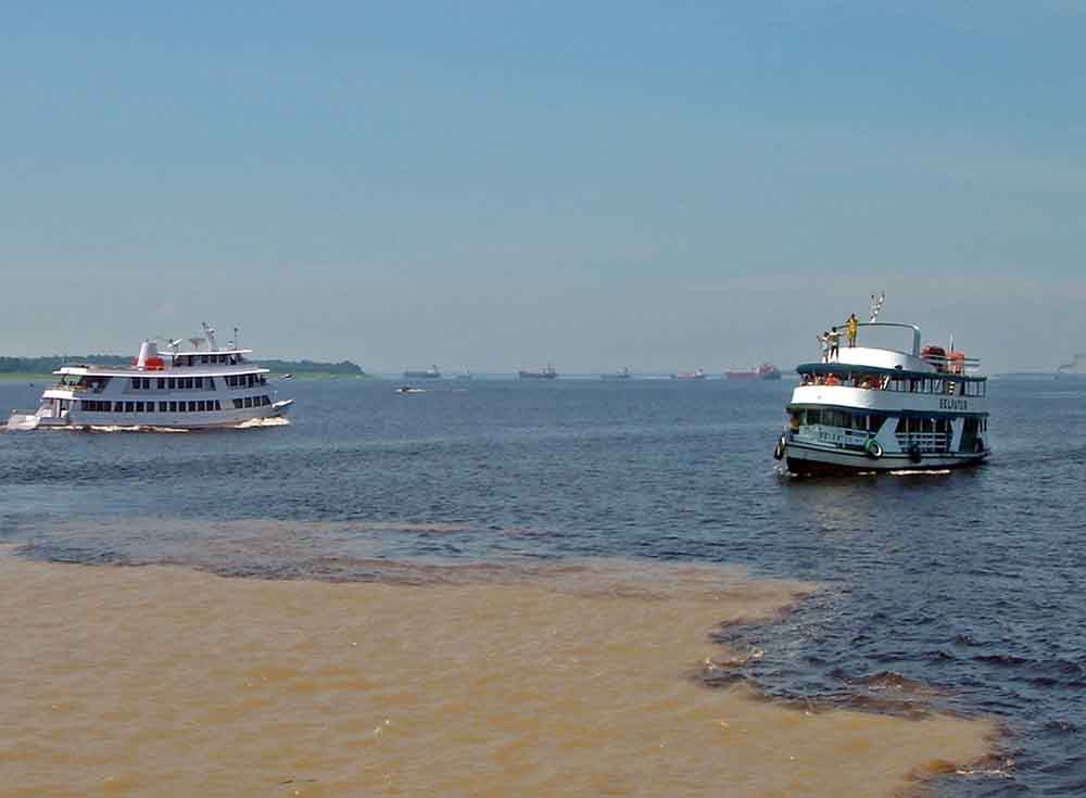 what to do in manaus