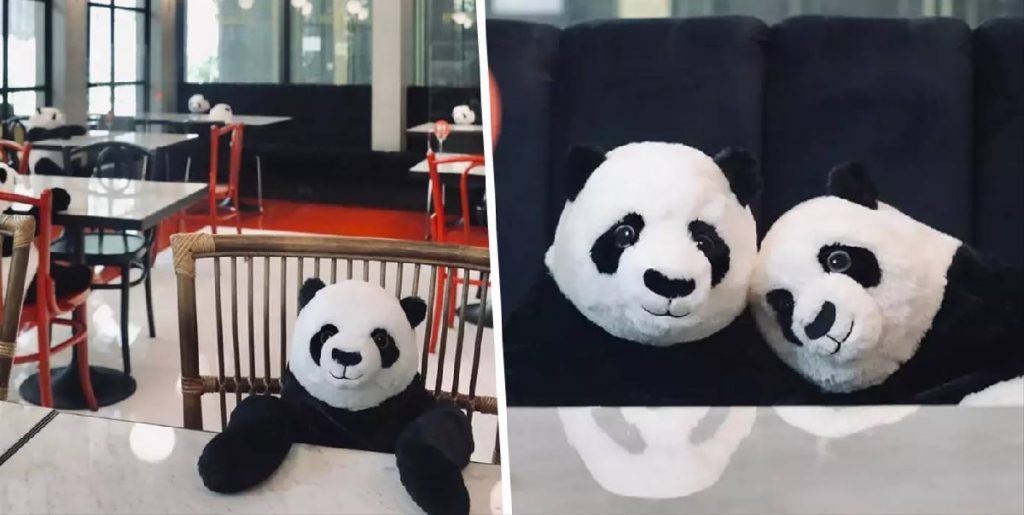 Restaurante na Tailândia usa pandas de pelúcia para manter distanciamento social