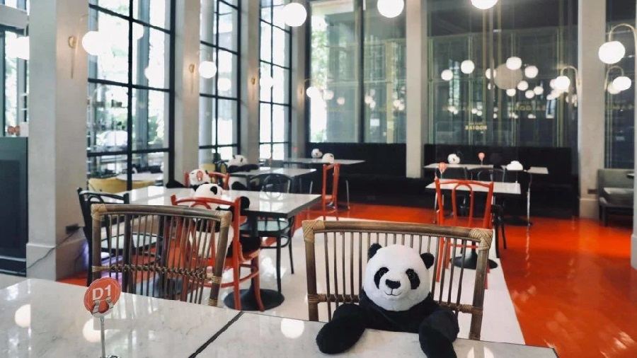 restaurante tailândia pandas