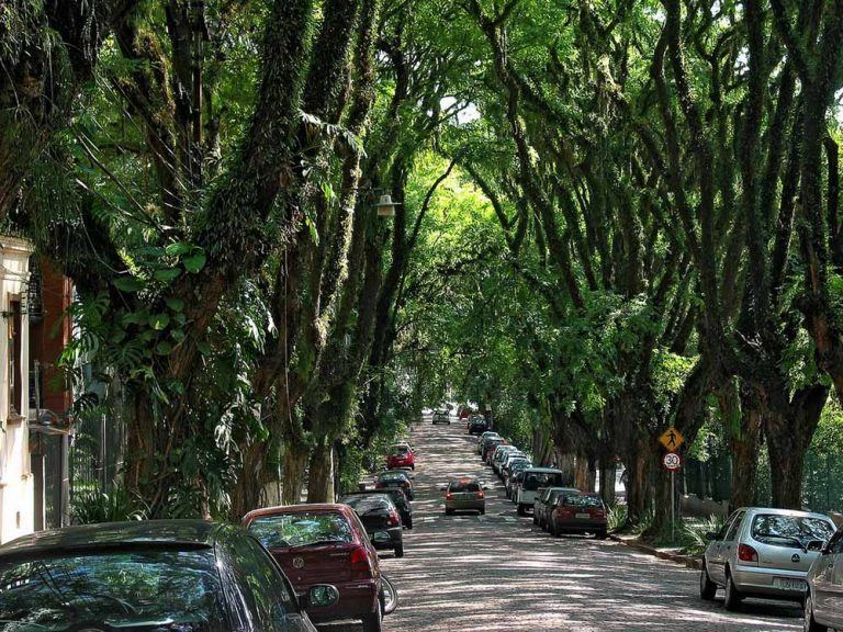 O que fazer em Porto Alegre 15 atrações turísticas imperdíveis O que fazer em Porto Alegre 15 atrações turísticas imperdíveis