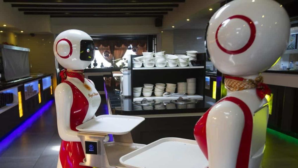 restaurante holanda robô