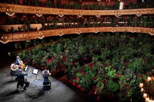 Para celebrar reabertura, teatro na Espanha realiza concerto para 2 mil plantas
