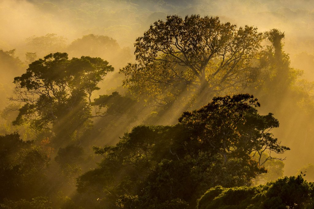 Hotel venderá fotos da Amazônia para arrecadar fundos à comunidade carente