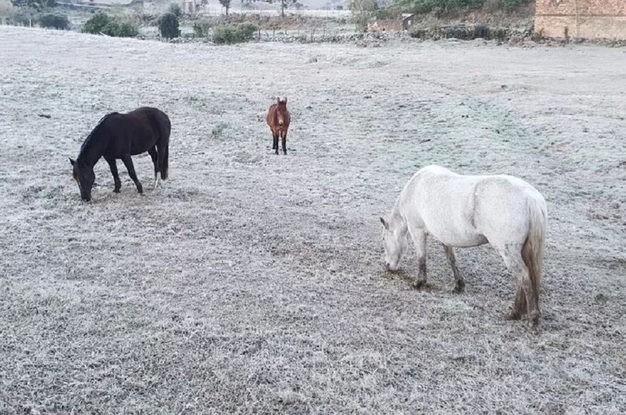 Serra Santa Catarina records negative temperatures and frosts