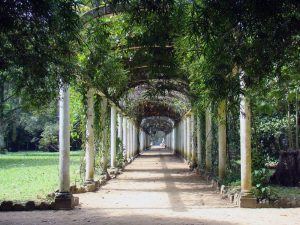 Jardim Botânico do Rio de Janeiro reabre com visitas agendadas