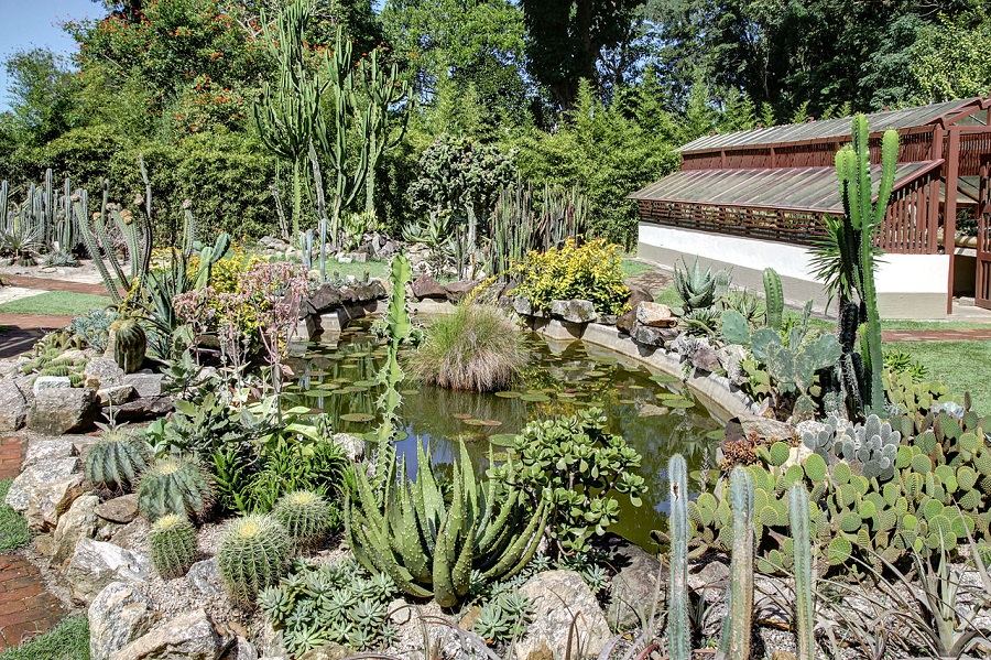 Jardim Botânico do Rio de Janeiro reabre com visitas agendadas