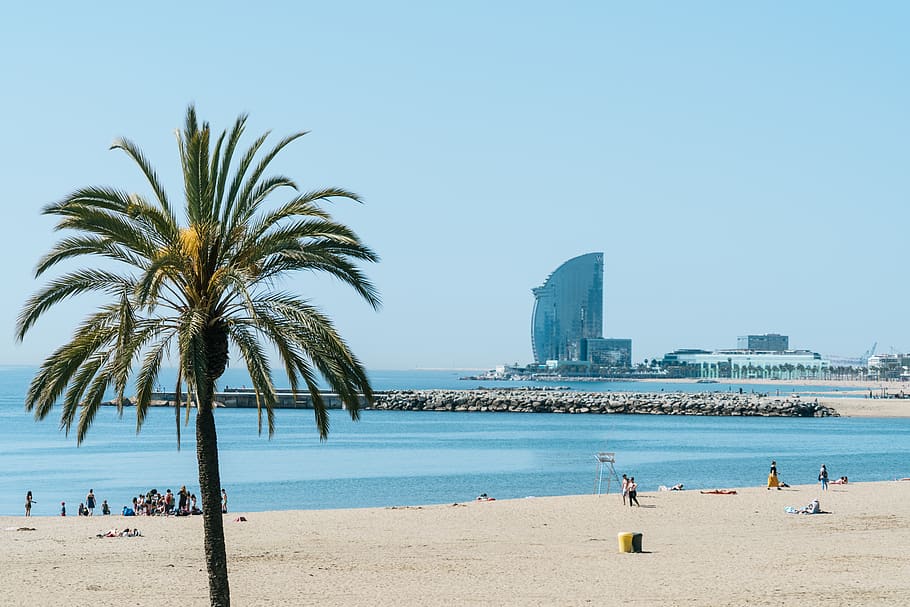 what to do in barcelona