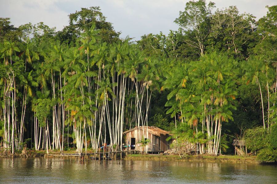Landscapes of the Amazon, traveling by boat between Belém and Manaus