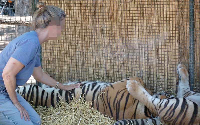 zoológico Argentina