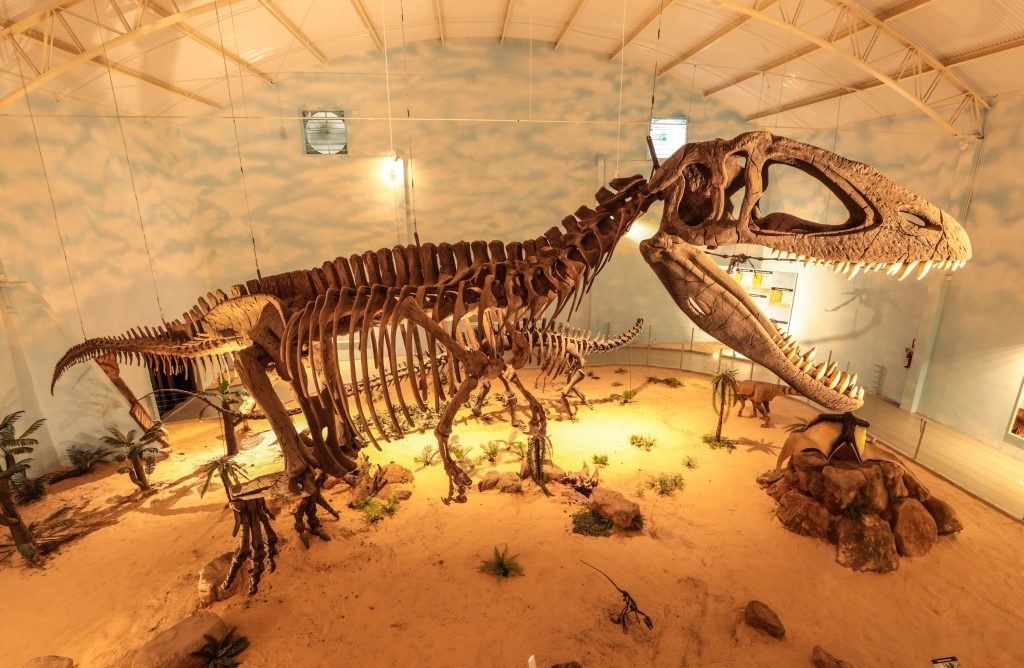 Maior museu de história natural da América Latina é inaugurado no interior de São Paulo