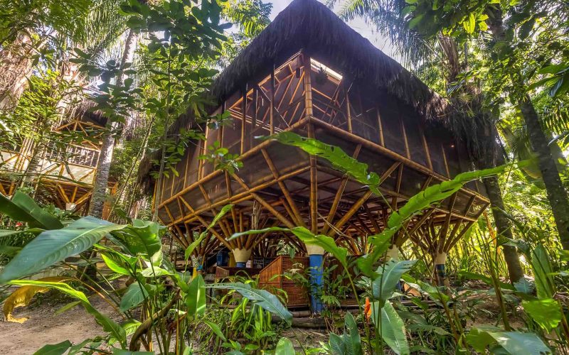 Universo Pol Bamboo Hostel