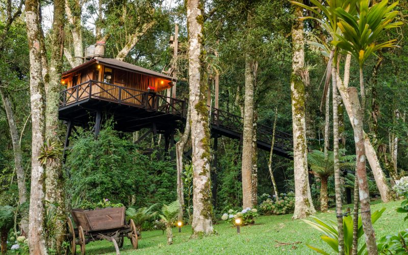 casa na árvore em Monte Verde