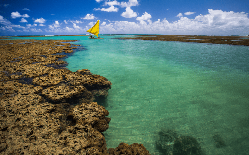 fotos de porto de galinhas