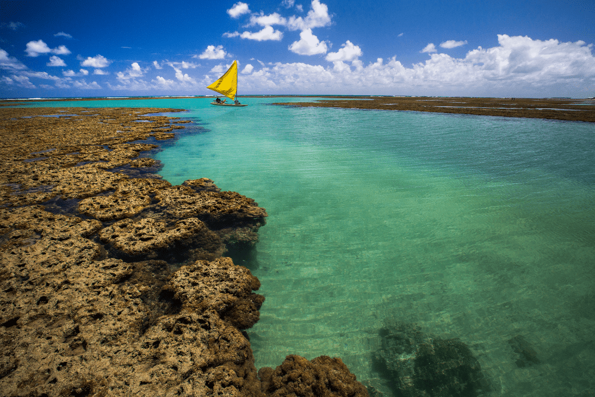 fotos de porto de galinhas