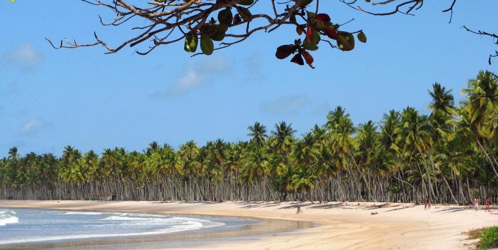 De norte a sul: 36 praias imperdíveis para conhecer na Bahia