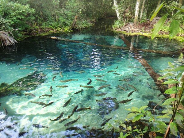 Turismo No Mato Grosso Destinos Para Se Apaixonar