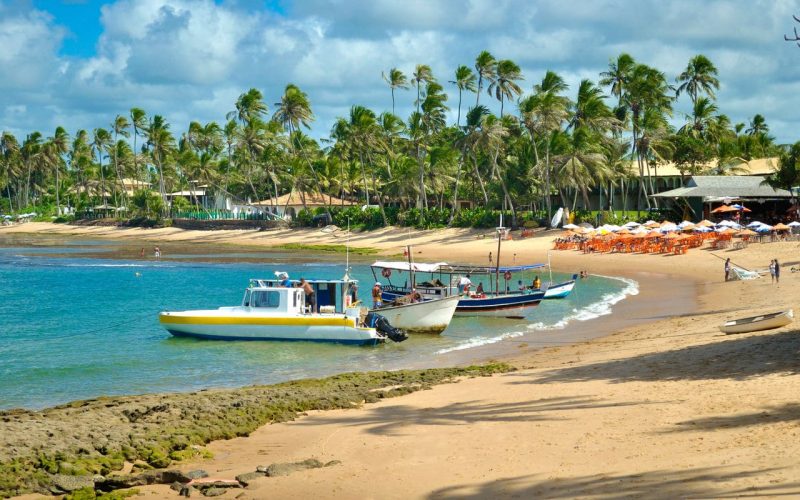 Linha verde bahia