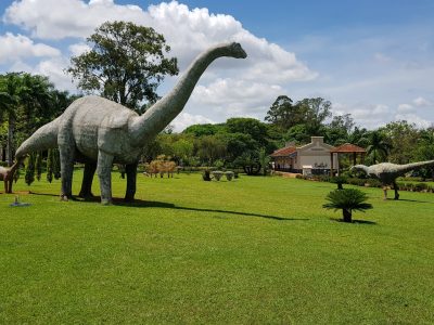 Minas Gerais dinosaur museum