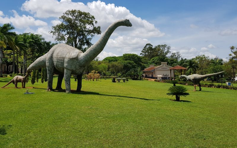 museu dos dinossauros minas gerais