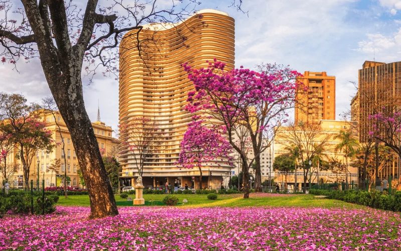 minas gerais vacinação