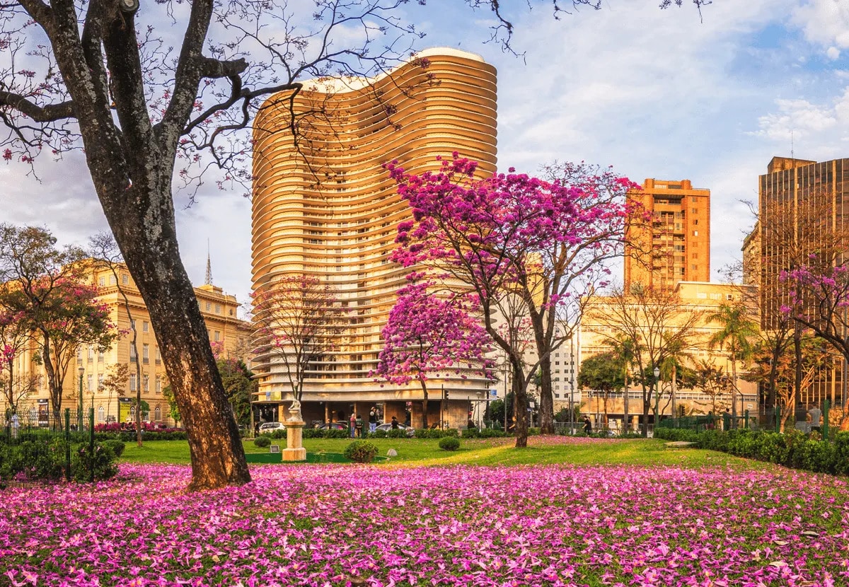 minas gerais vacinação
