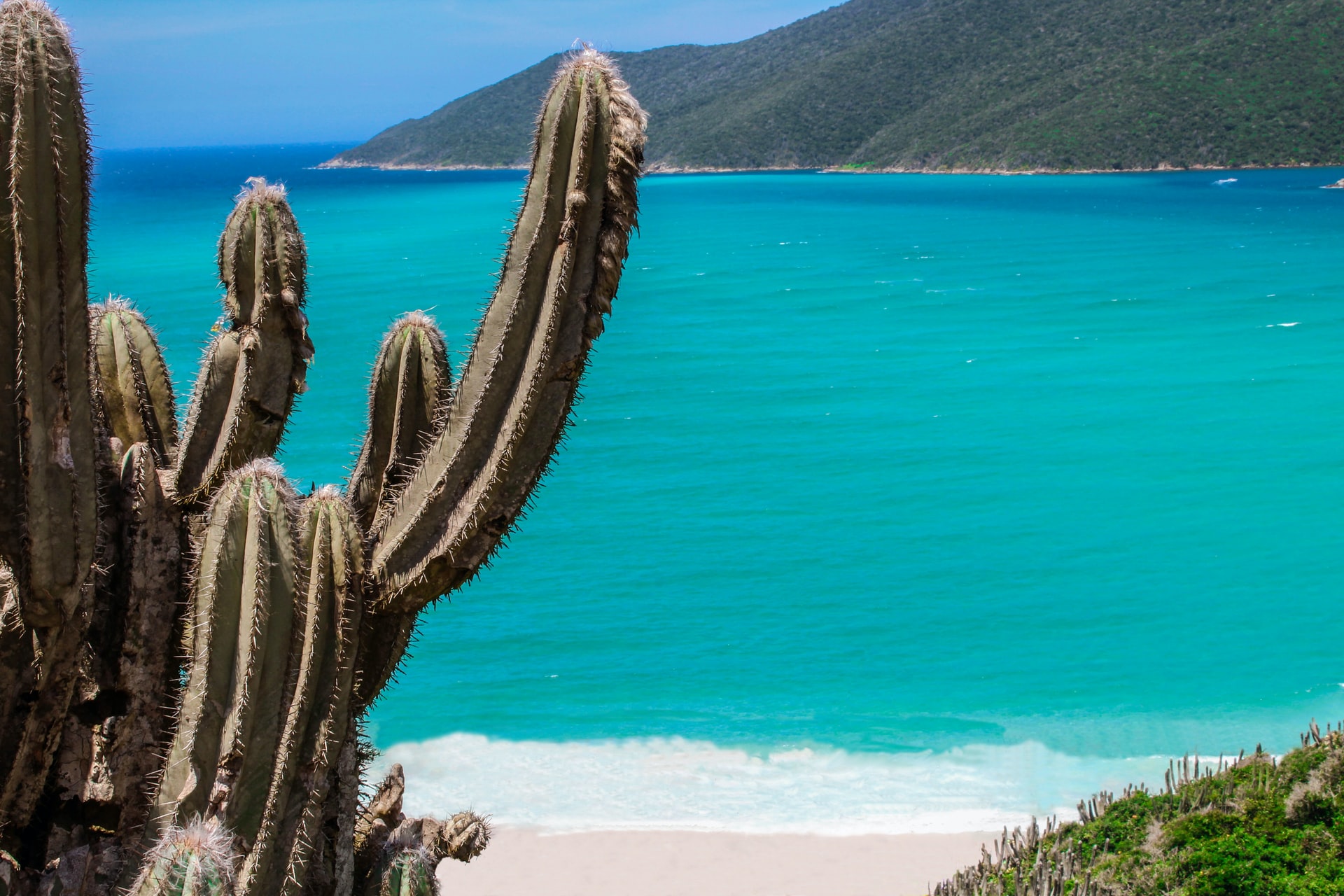 Quando Ir Para Arraial Do Cabo? Veja A Melhor época Para Não Errar