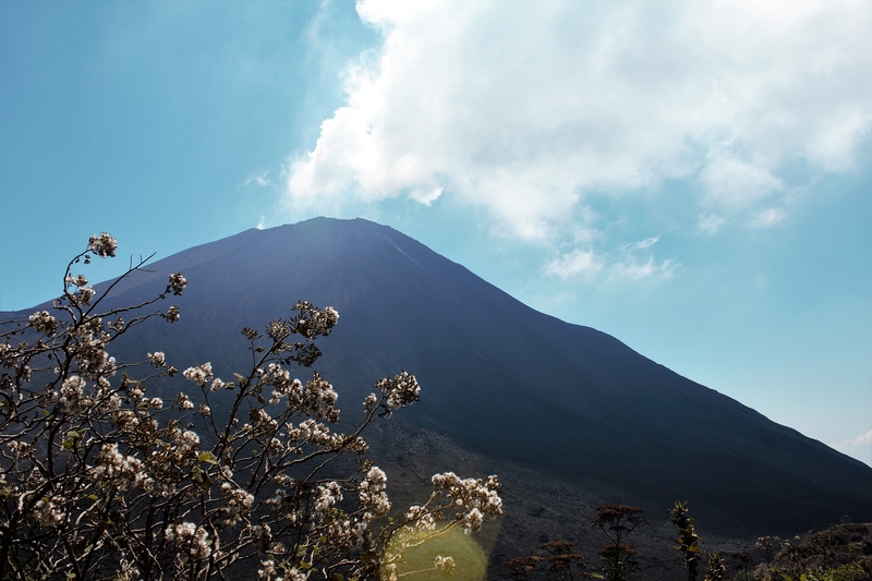 Vulcão Pacaya