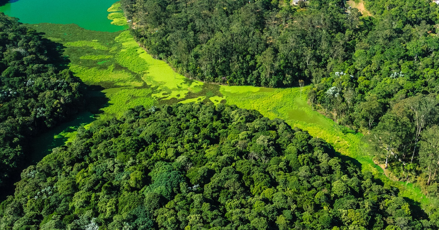 megatrilha em são paulo