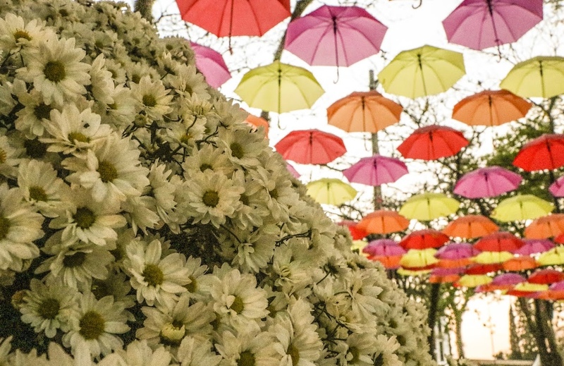 Festival de flores no interior de São Paulo