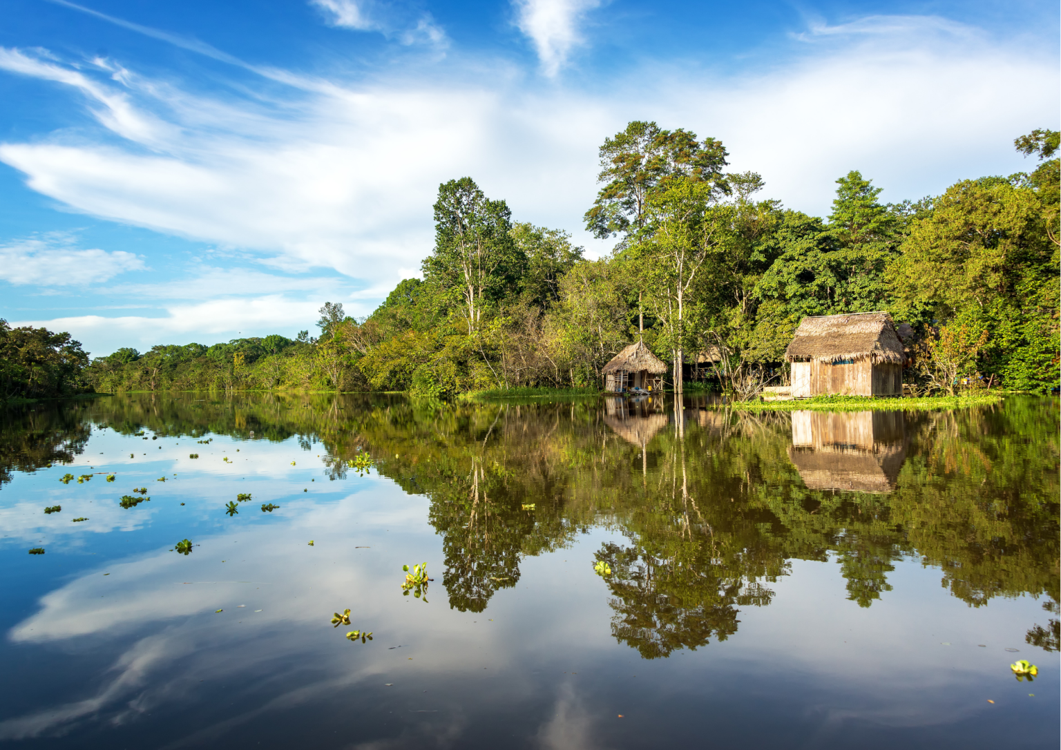 Amazonia Complex Amazônia: 14 curiosidades que você provavelmente não sabia