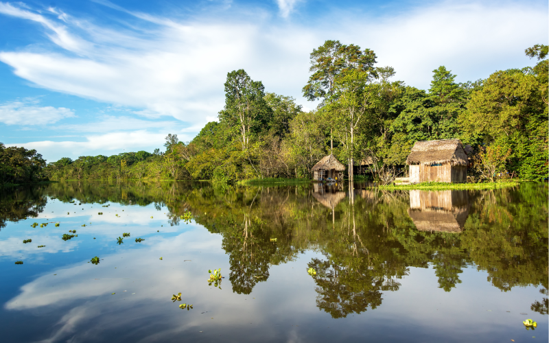 ferias na amazonia