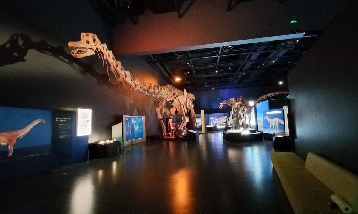 exposição maior dinossauro do mundo SP