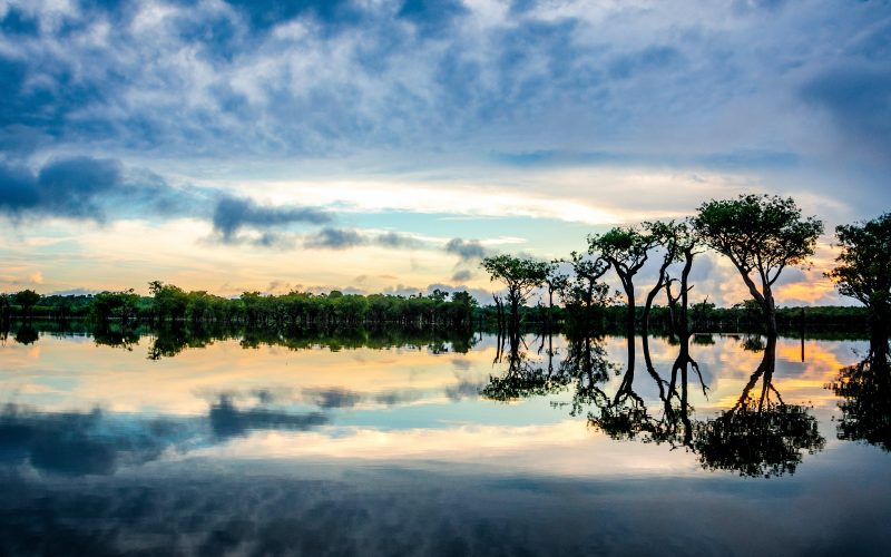 floresta amazônica