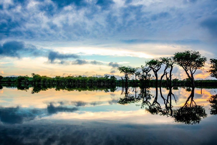 floresta amazônica