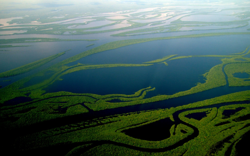 amazonas amazonia cop2025 foto amazonia