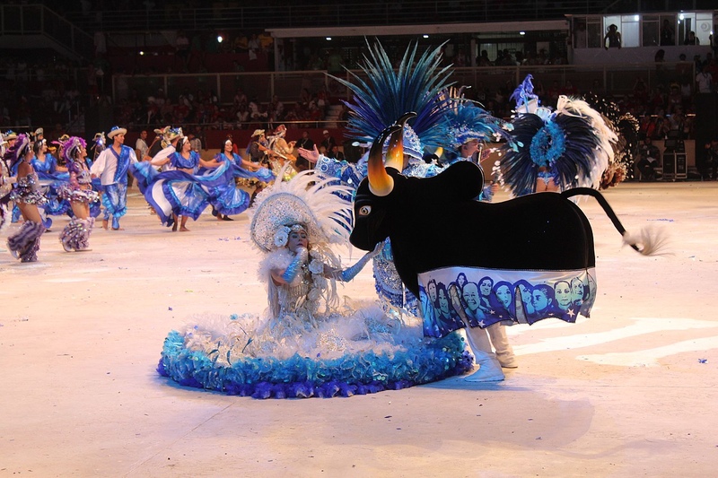 Boi Caprichoso, no maior festival folclórico do mundo