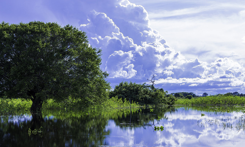 Pantanal, destinos para sair do óbvio no Brasil