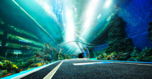 Aquário em Gramado: atração com túnel transparente