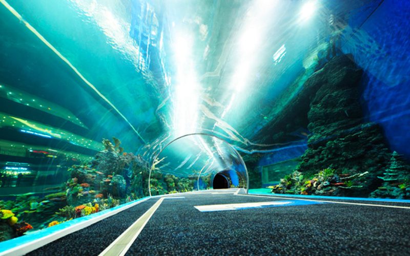 Aquário em Gramado: atração com túnel transparente