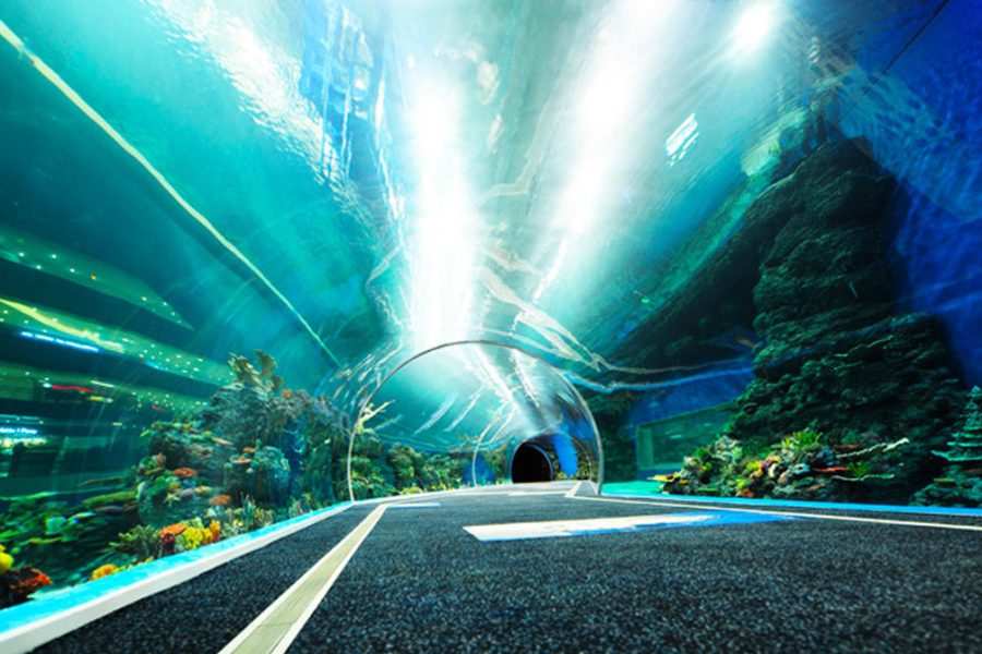 Aquário em Gramado: atração com túnel transparente